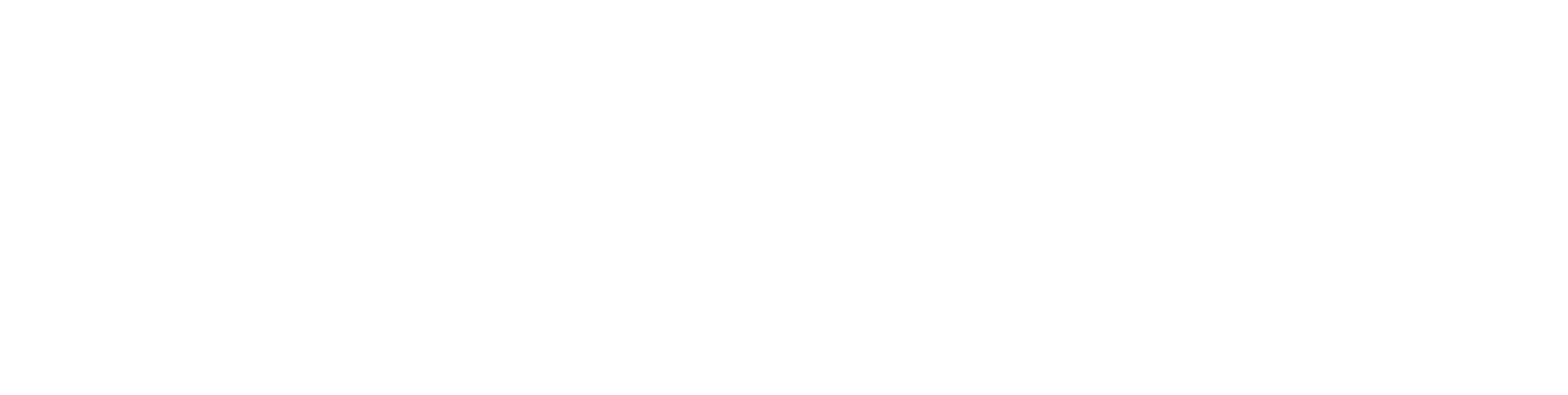 Brand 9ONE3 Logo