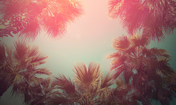 Work portfolio image 14